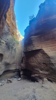 2022-02-GranCan-Barranco_Las_Vacas-PM-NN-08.jpg